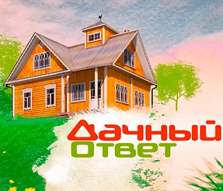 «Дачный ответ.НТВ»: проект дизайнера Екатерины Кудряшовой